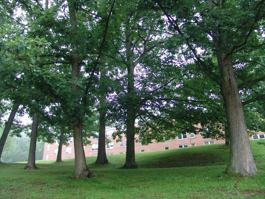 DSC09140
