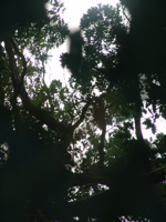 DSC09351