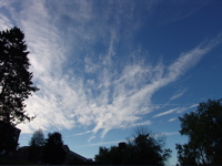 DSC09606